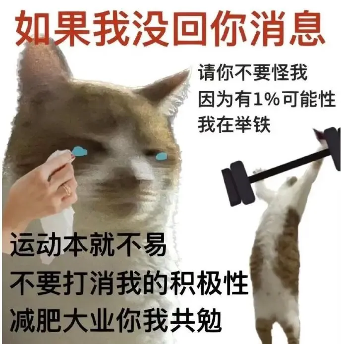 肌肉量与心血管健康关系示意图